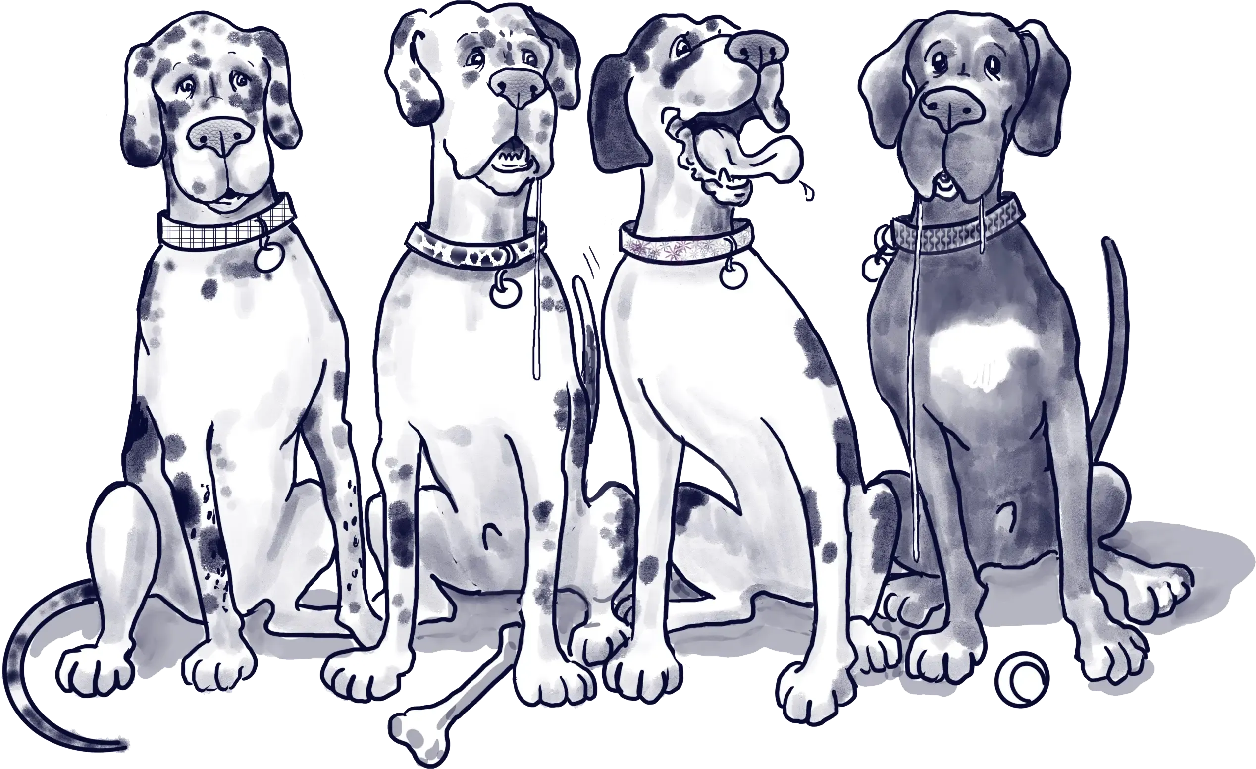 Drool School Dogs Crew