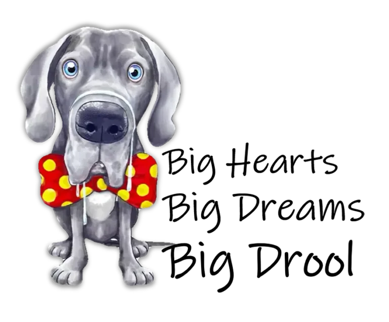 Welcome to Drool School!